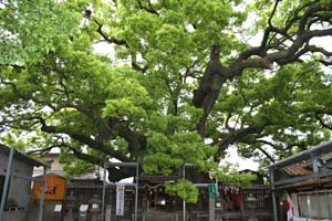 三島神社