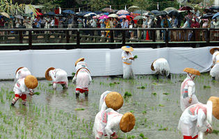 御田植神事